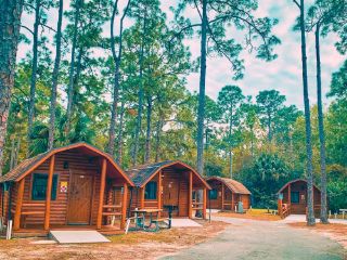 4 brown wood cabins in front of tall pine trees. 